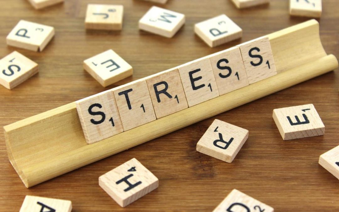 Gratitude improves your finances